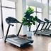 Salle de sport