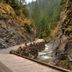 Autre