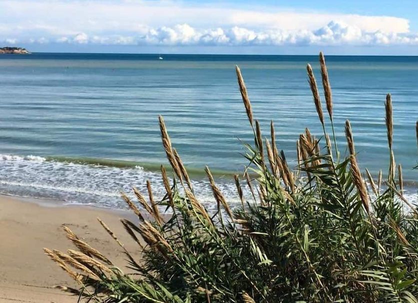 Plage Photo