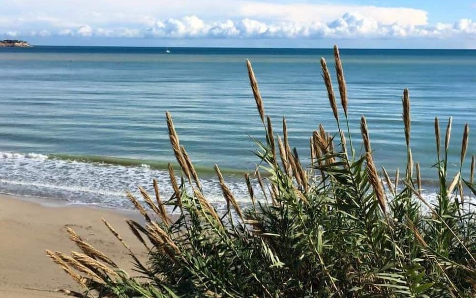 Plage Photo