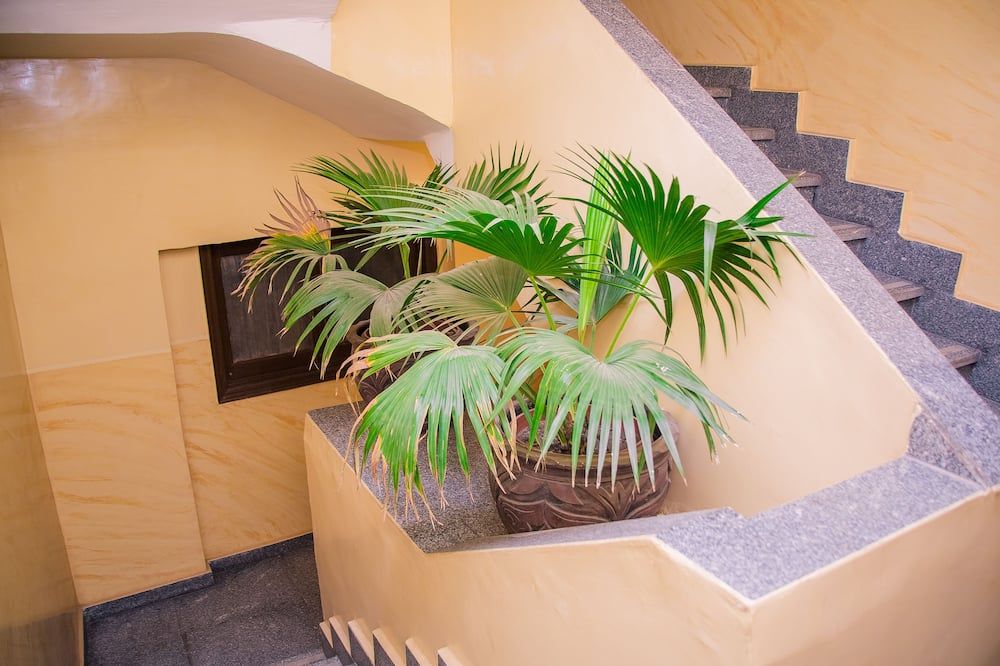 Escalier