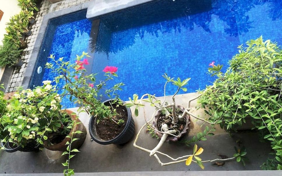 Piscine Photo
