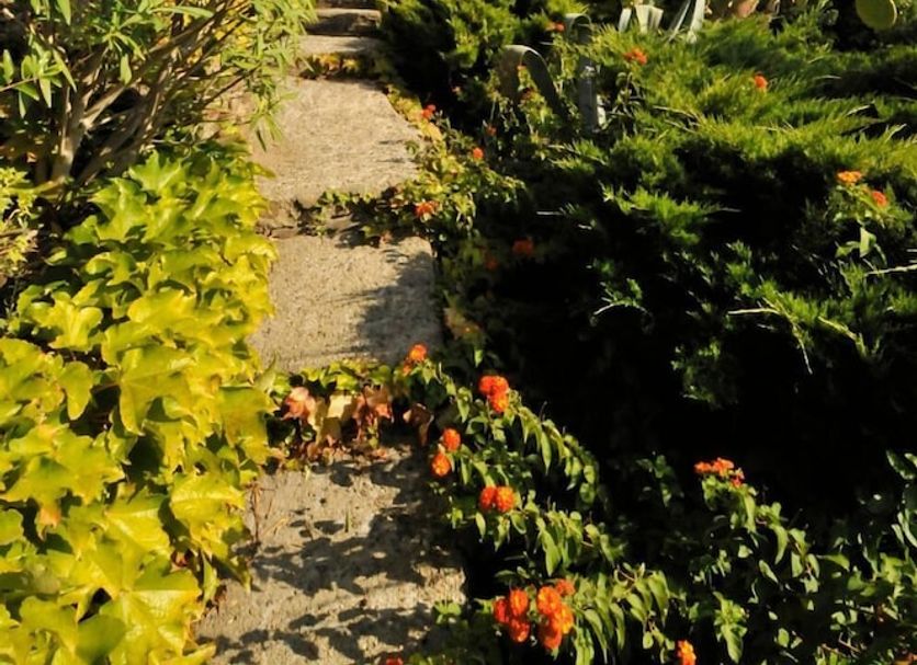Extérieur Photo
