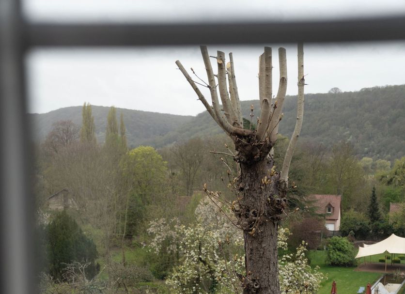 Autre Photo