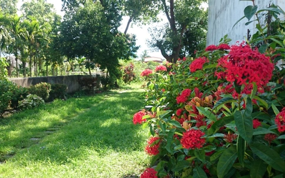 Extérieur Photo