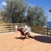 Toit-terrasse
