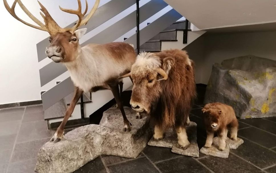 Hall d’entrée Photo