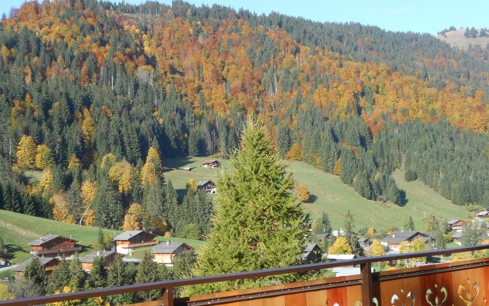 Balcon Photo