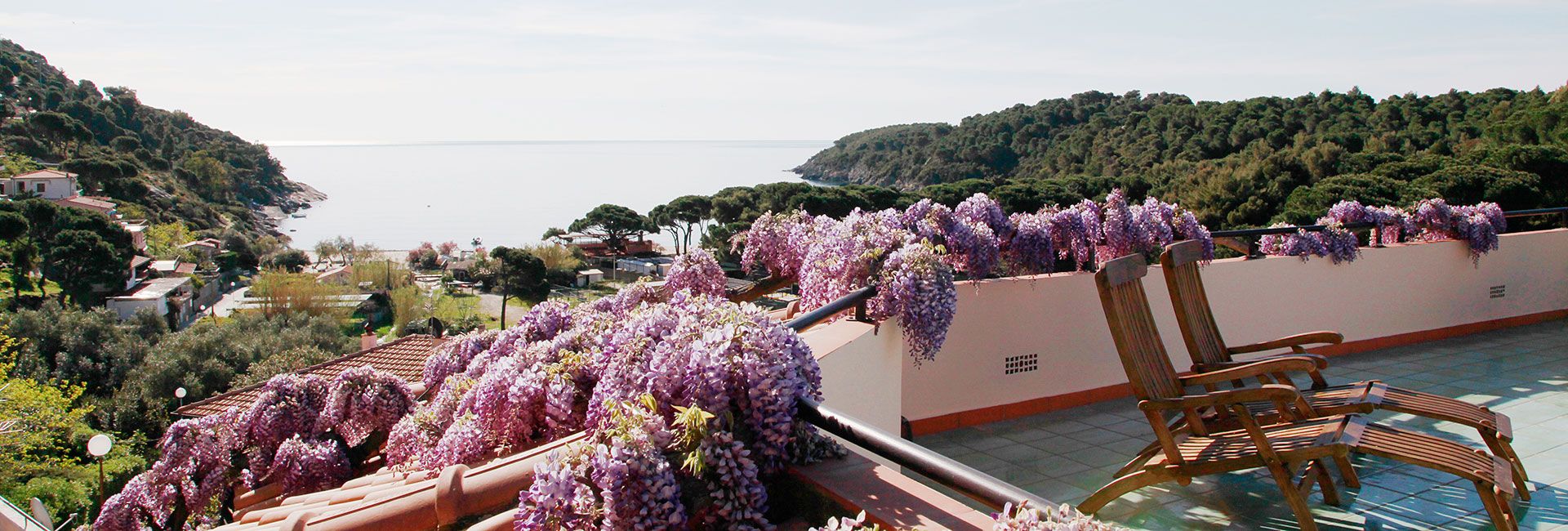 Toit-terrasse