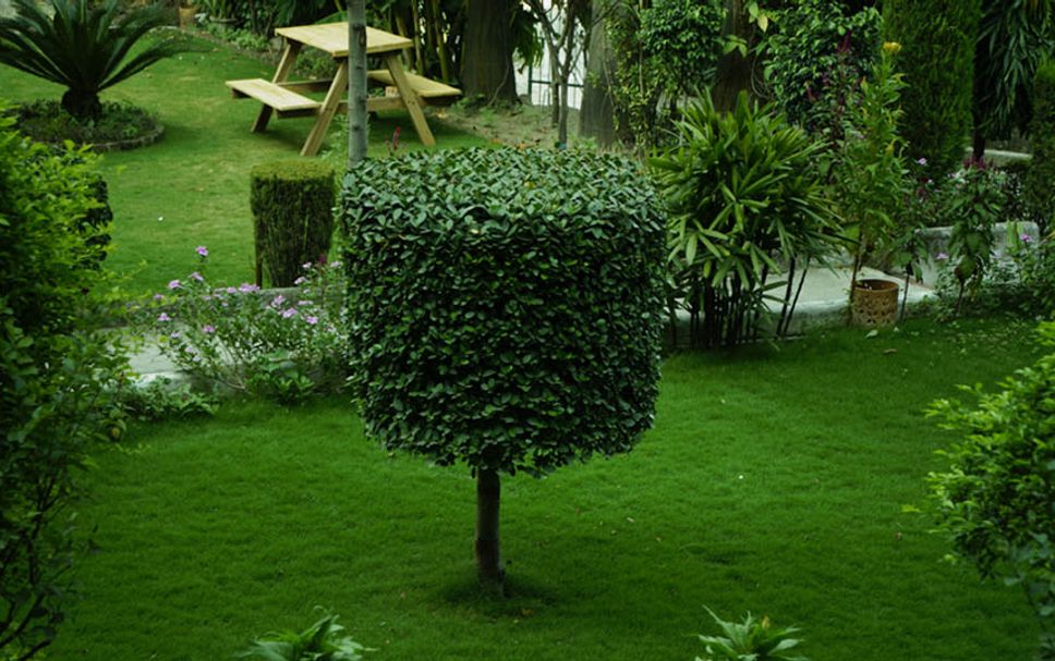 Extérieur Photo