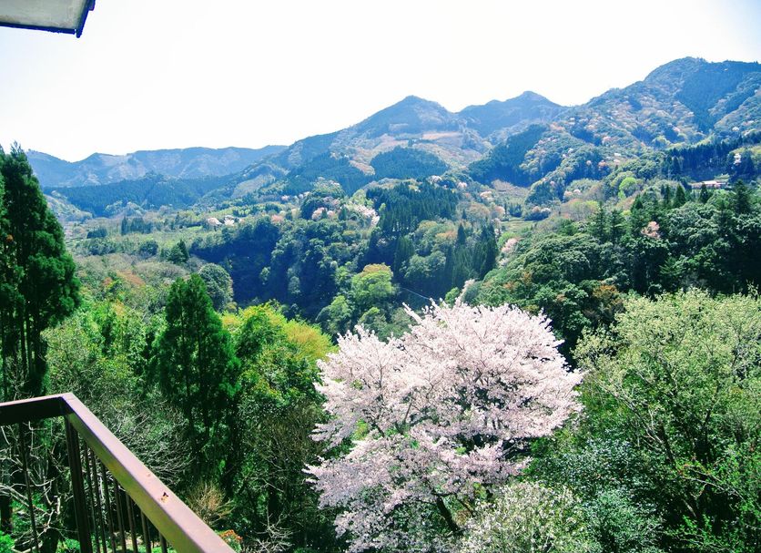 Balcon Photo